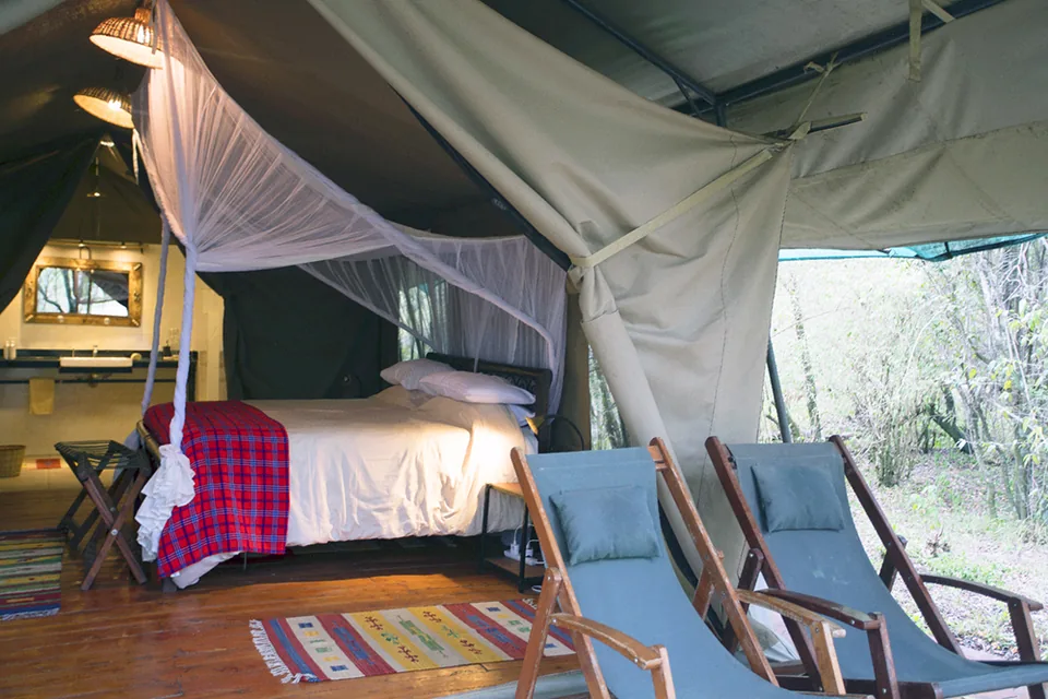 Safari tent suite interior with bed, mosquito net, and two blue lounge chairs at Kaboso Safari Camp.