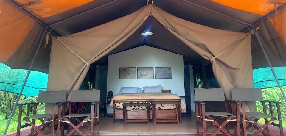 Front view of an open canvas safari tent with a bed and two pairs of director chairs at Kaboso Safari Camp.