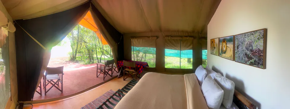 Interior view from inside an open safari tent showing a bed, porch seating, and surrounding trees at Kaboso Safari Camp.