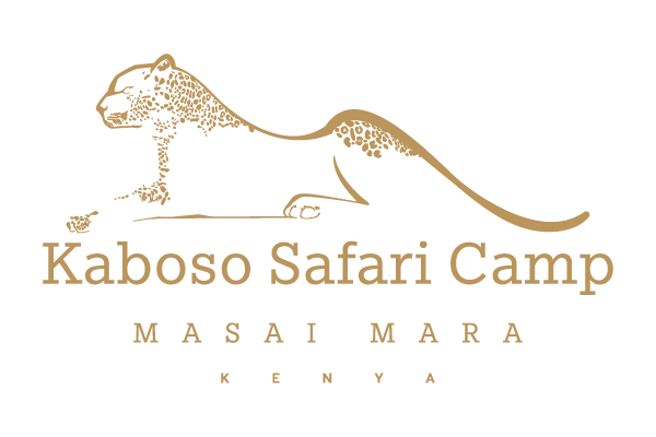 Kaboso Safari Camp